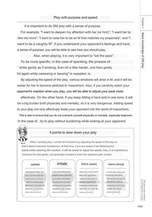 SM play manual Page #17