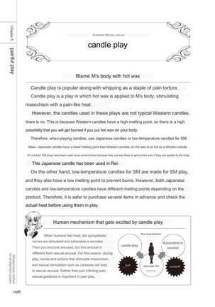 SM play manual Page #96