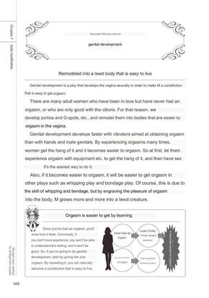 SM play manual - Page 120