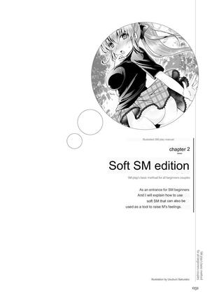 SM play manual Page #29