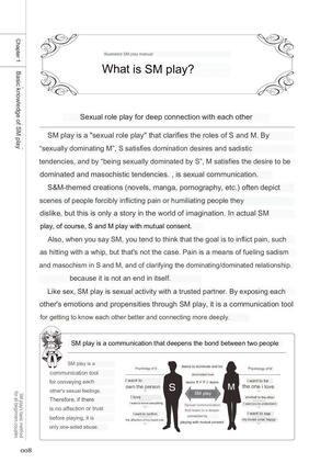 SM play manual - Page 6