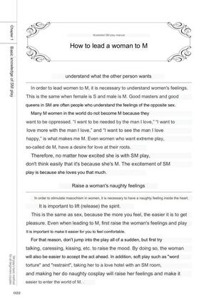 SM play manual Page #20