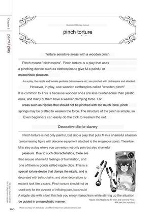 SM play manual Page #98