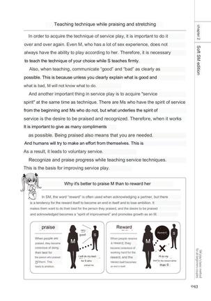 SM play manual Page #41