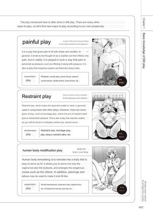 SM play manual - Page 15
