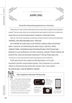 SM play manual Page #64