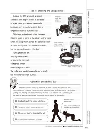 SM play manual Page #43