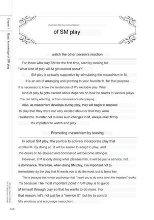 SM play manual - Page 16
