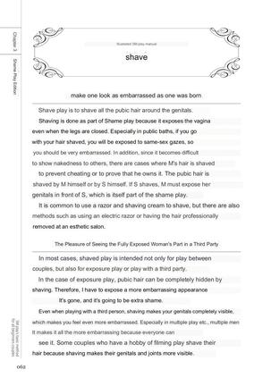 SM play manual Page #60