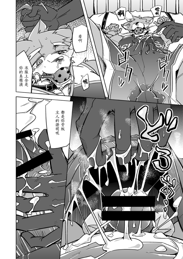 Dorei no Honkai