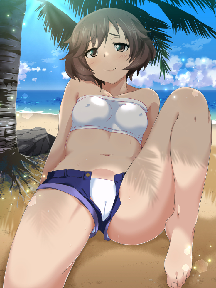 Girls und Panty 4 - Natsu no Shikoshiko Sakusen desu!
