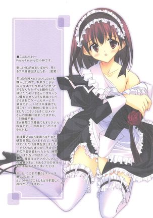 maidandante 2.5