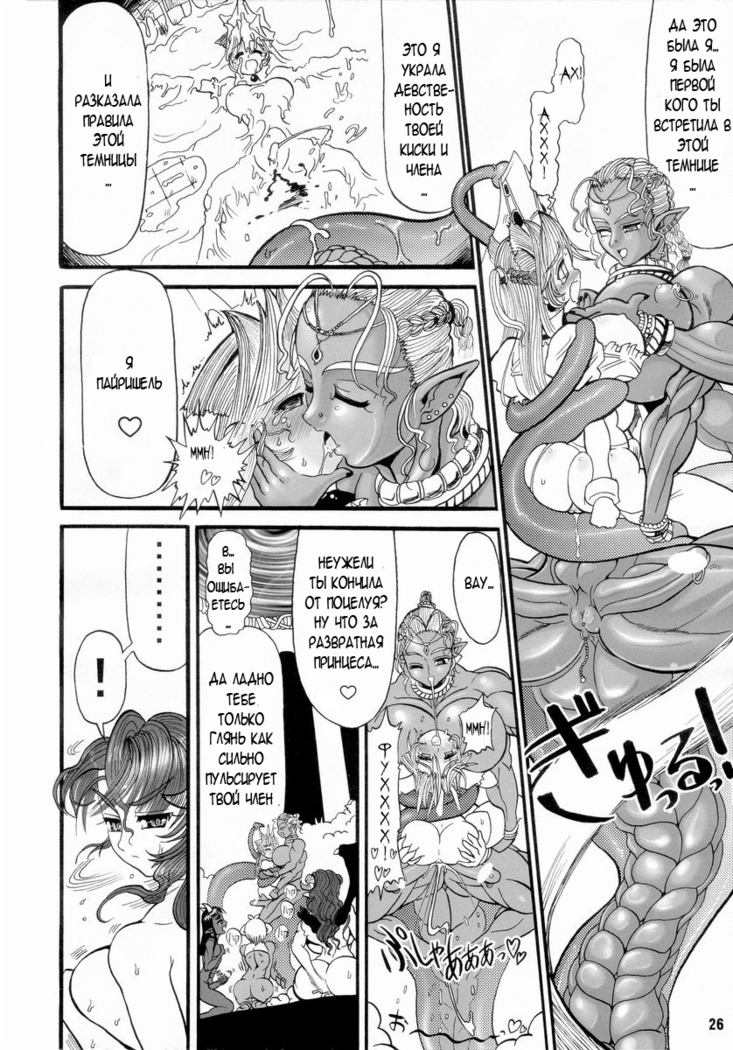 TGWOA Vol 14 - Meikyuu Oujo Prina