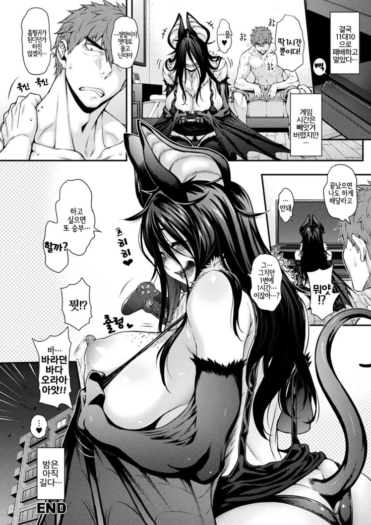 Kemonokko Tsuushin ~Koumori Musume Bibi~