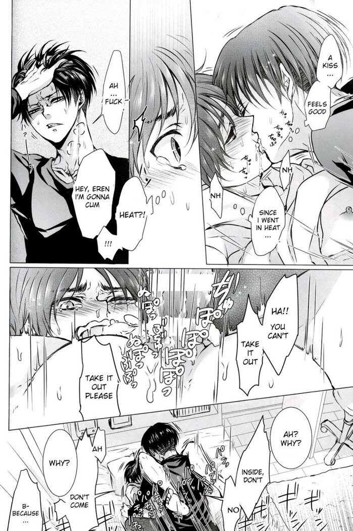 Fan Service II