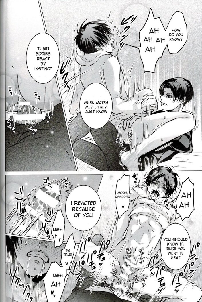 Fan Service II
