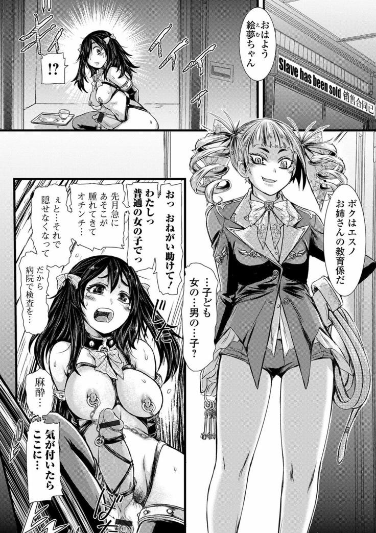 Futanari ● Market