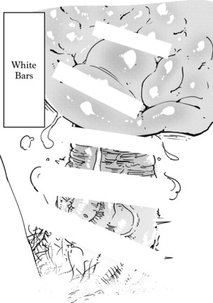 Image 1750332