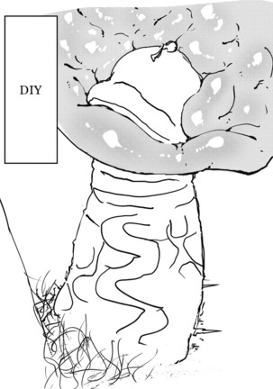 The Weeny Corrections Manual Page #17