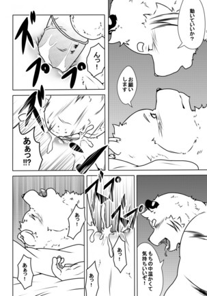 Image 2547904
