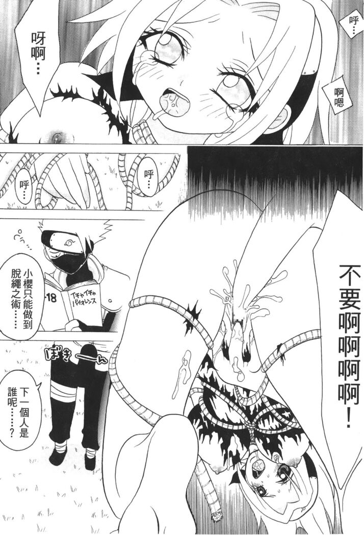naruto ninja biography vol.02