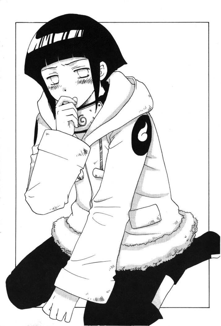 naruto ninja biography vol.02