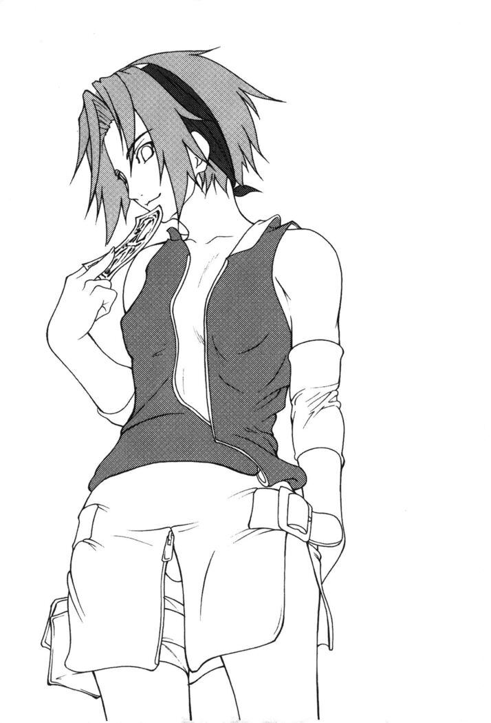 naruto ninja biography vol.02