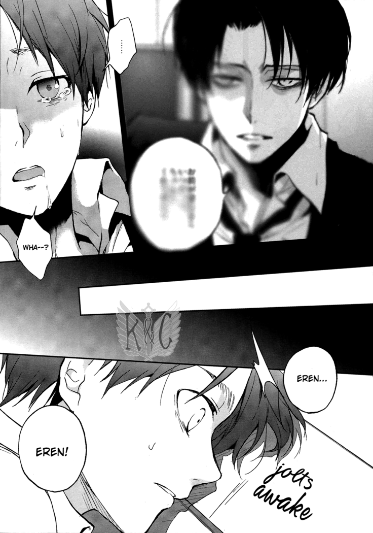 From the Broken Night