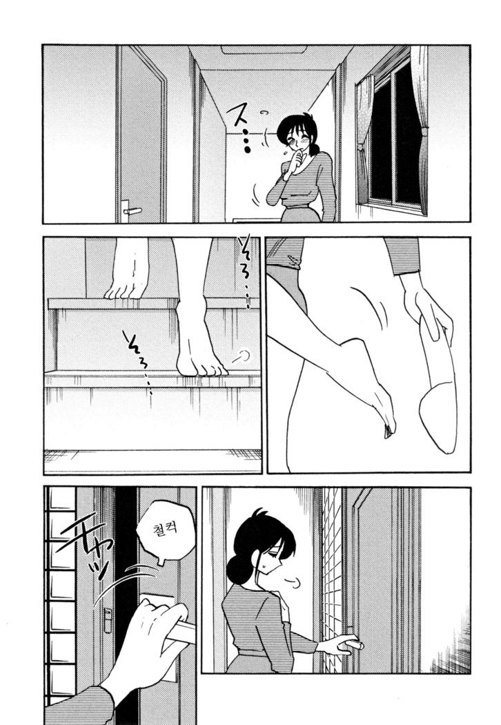Hisae Haitoku Nikki Ge Kanzenban | 히사에의 배덕일기 완전판