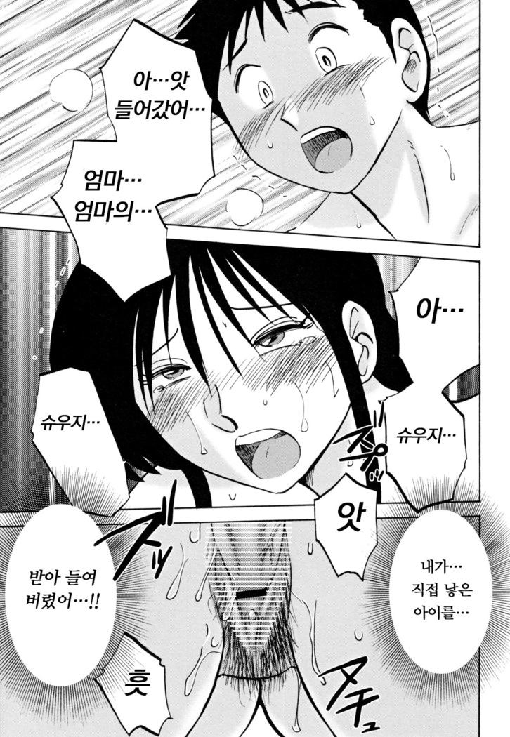 Hisae Haitoku Nikki Ge Kanzenban | 히사에의 배덕일기 완전판