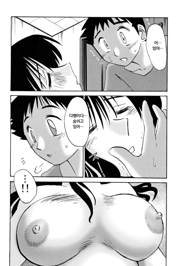 Hisae Haitoku Nikki Ge Kanzenban | 히사에의 배덕일기 완전판