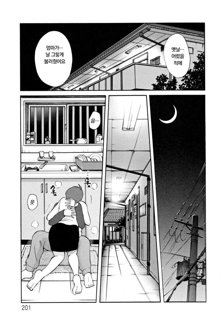 Hisae Haitoku Nikki Ge Kanzenban | 히사에의 배덕일기 완전판