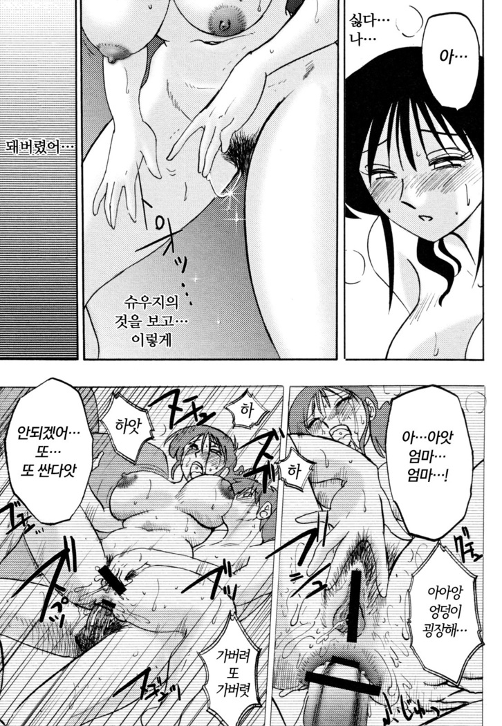 Hisae Haitoku Nikki Ge Kanzenban | 히사에의 배덕일기 완전판