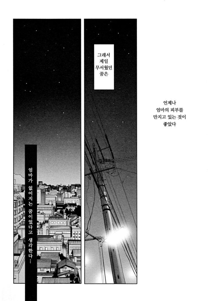Hisae Haitoku Nikki Ge Kanzenban | 히사에의 배덕일기 완전판