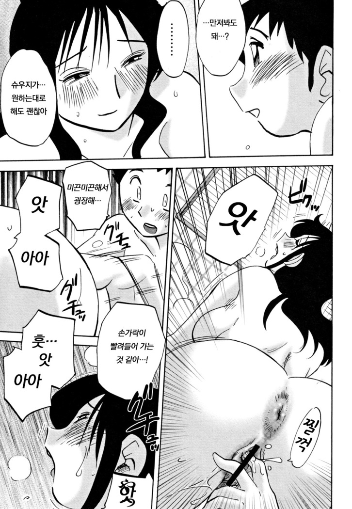 Hisae Haitoku Nikki Ge Kanzenban | 히사에의 배덕일기 완전판