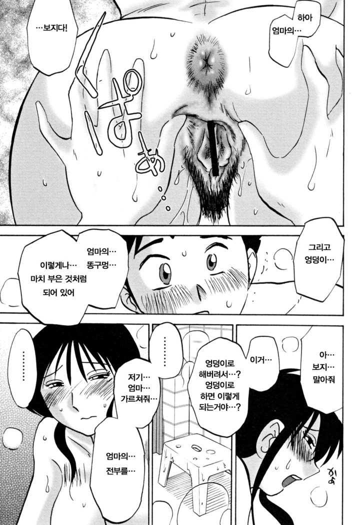 Hisae Haitoku Nikki Ge Kanzenban | 히사에의 배덕일기 완전판
