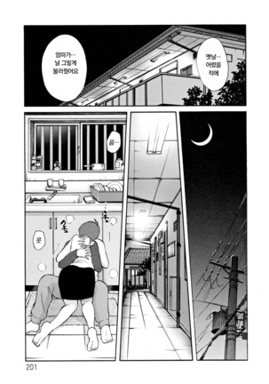 Hisae Haitoku Nikki Ge Kanzenban | 히사에의 배덕일기 완전판 Page #205