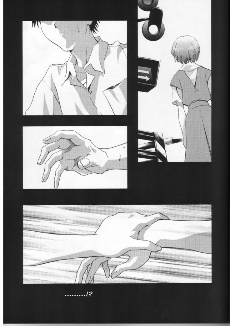 AYANAMI SUMMIT