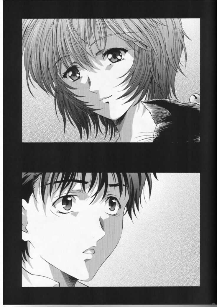 AYANAMI SUMMIT