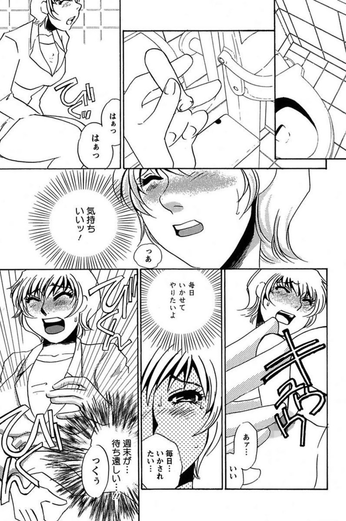Ijou Seiyoku Mesuinu Toshite