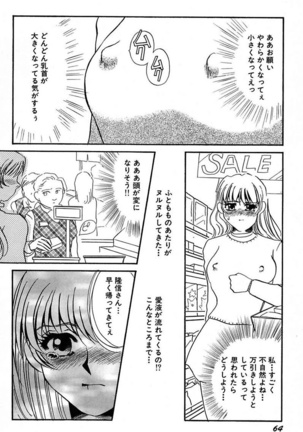 Ijou Seiyoku Mesuinu Toshite - Page 66