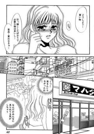 Ijou Seiyoku Mesuinu Toshite - Page 65