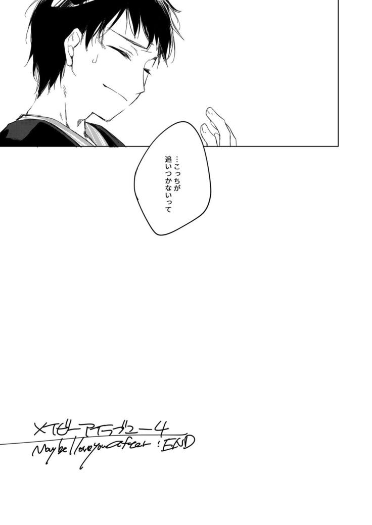 Maybe I Love You Soushuuhen