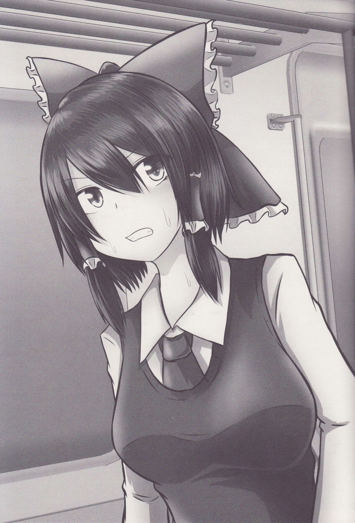 Joshi Kousei Reimu Chikan Densha Higai