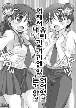 Image 3234640