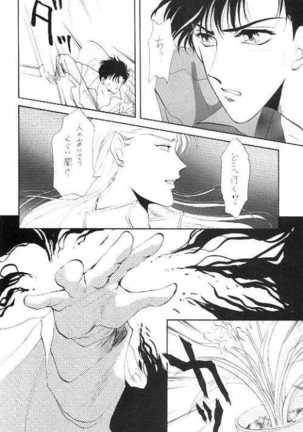 Image 10004362