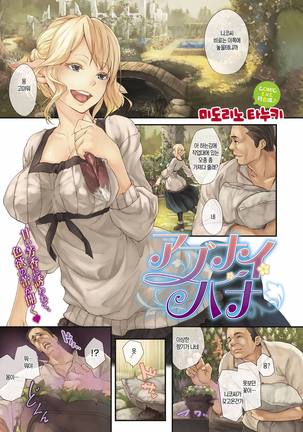 Image 4941003