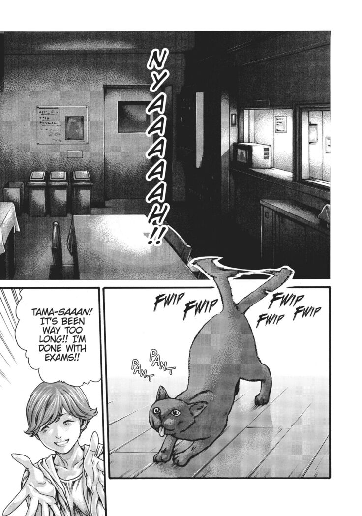 Cat in Hot Girl's dorm volume 1