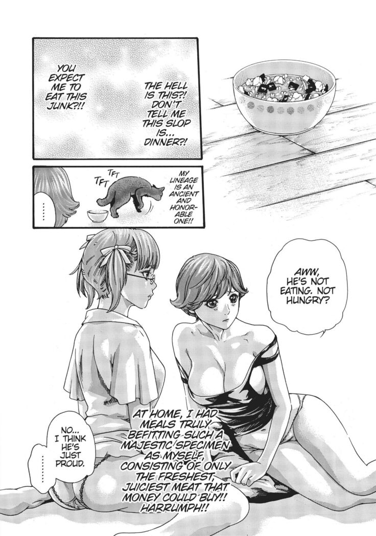 Cat in Hot Girl's dorm volume 1