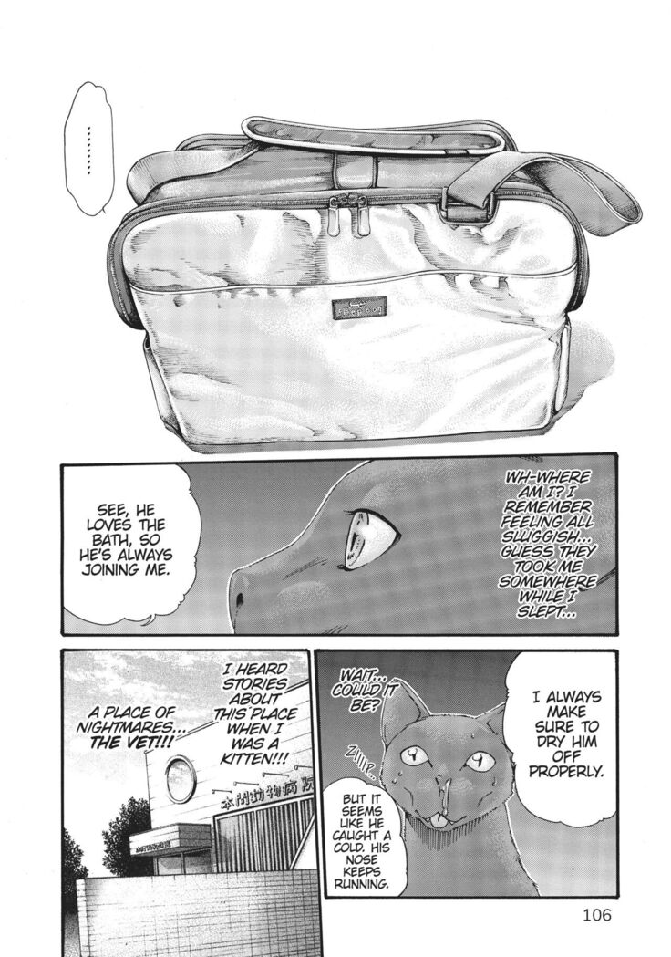 Cat in Hot Girl's dorm volume 1